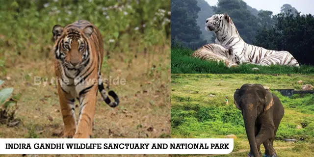 Indira Gandhi Wildlife Sanctuary and National Park