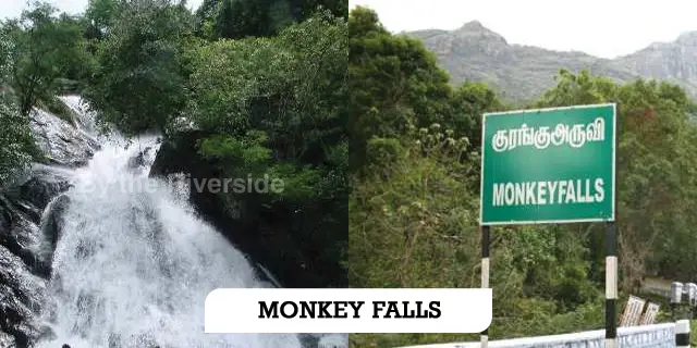 Monkey Falls